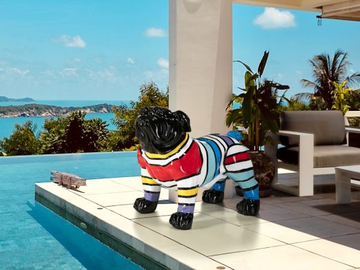 DIEGO – Image 2