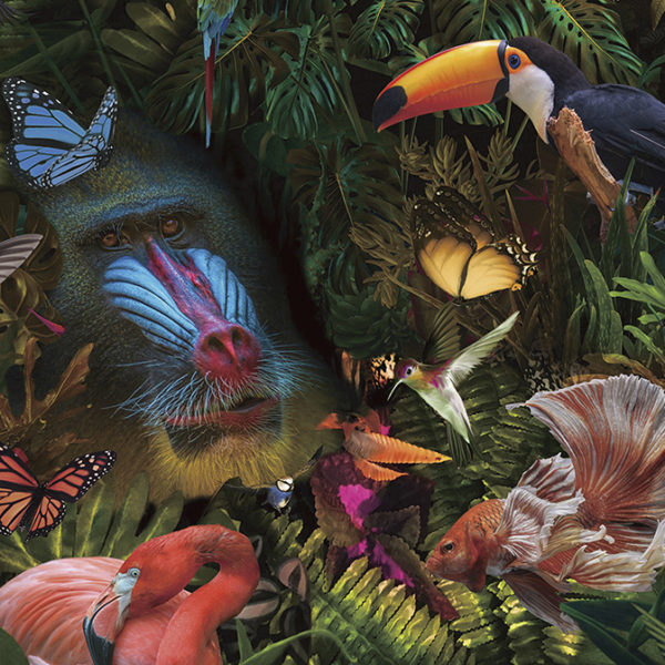 SELVATICA — Villa 52