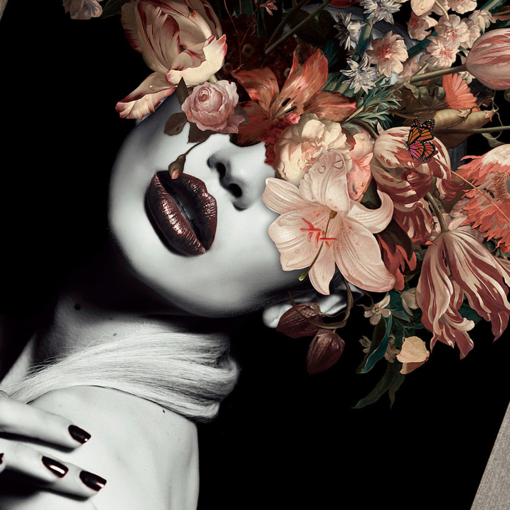 SILENE – Image 2